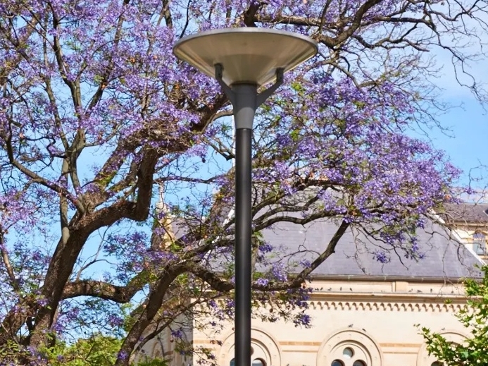 Kipp Post Top Light
